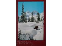 Χειμωνιάτικη Ιστορία