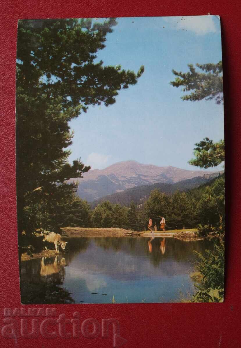 Pirin - Lacul Vasilashko Pirin - Lacul Vasilashko