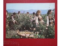 Ροζόμπερ-Καζανλάκ