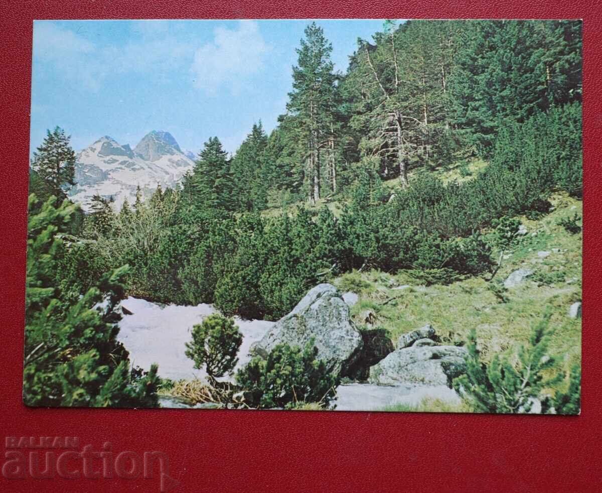 Ρίλα - Μαl’ovitsa