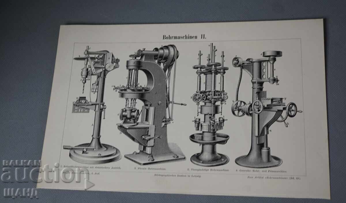 1900 Λιθογραφία ειδών τρυπανιών