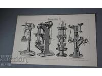 1900 Λιθογραφία ειδών τρυπανιών