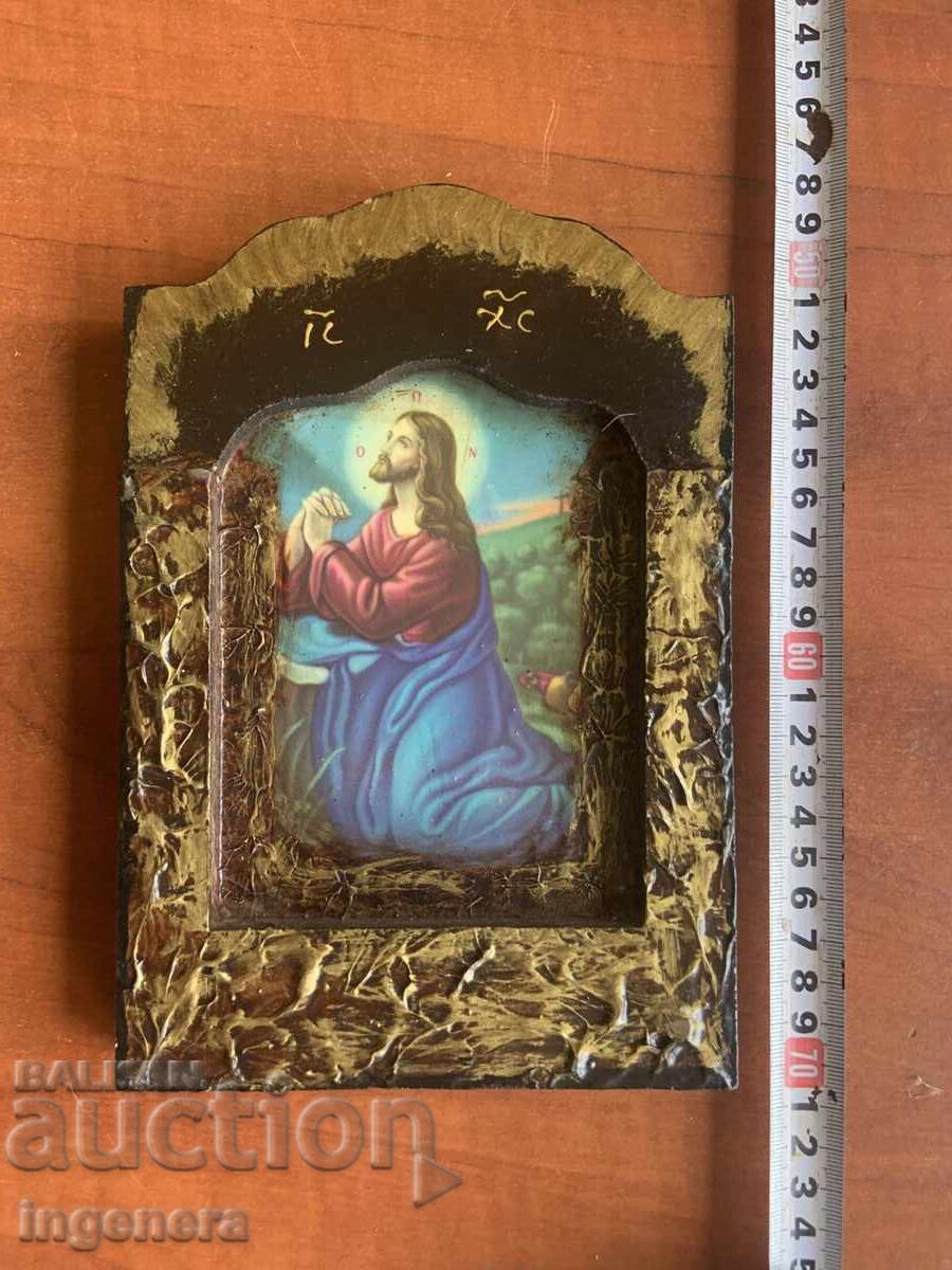 ICONA ARBOR ICONA ARBOR