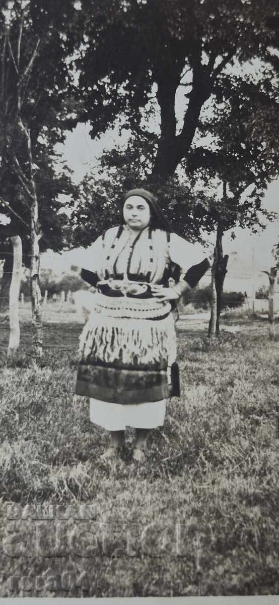 NOSIRE - GORNA BANIA cu preț € 9.99 | 19.54 BGN
