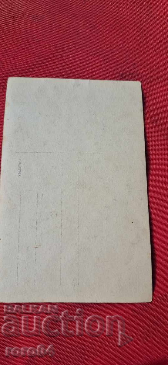 НОСИЯ - АНТЕРИЯ - ПОТУРИ - 6