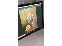 Dell 19 inch LCD Monitor