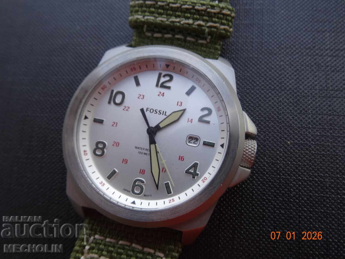 CEAS JAPONEZ FOSSIL PILOT 2