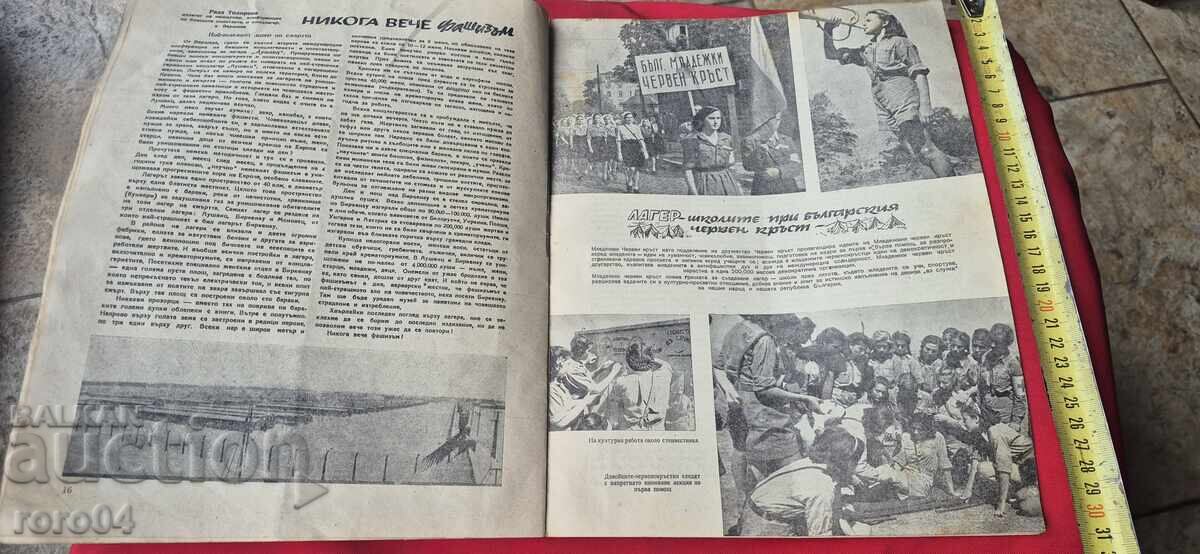 ЖЕНАТА ДНЕС - ГОДИНА II БРОЙ 2 - 6