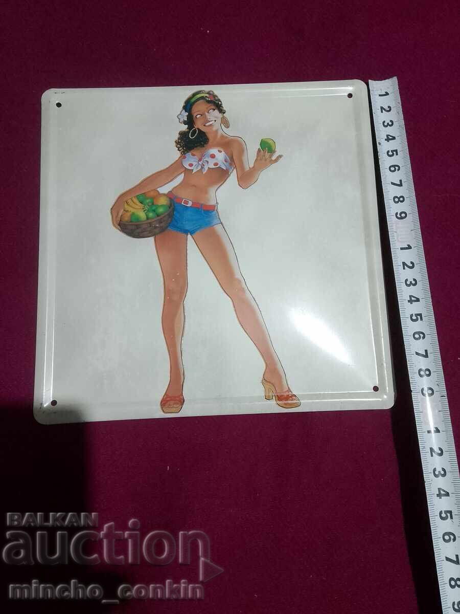 Pin-up metal signs - 6 Pin-up metal signs - 6