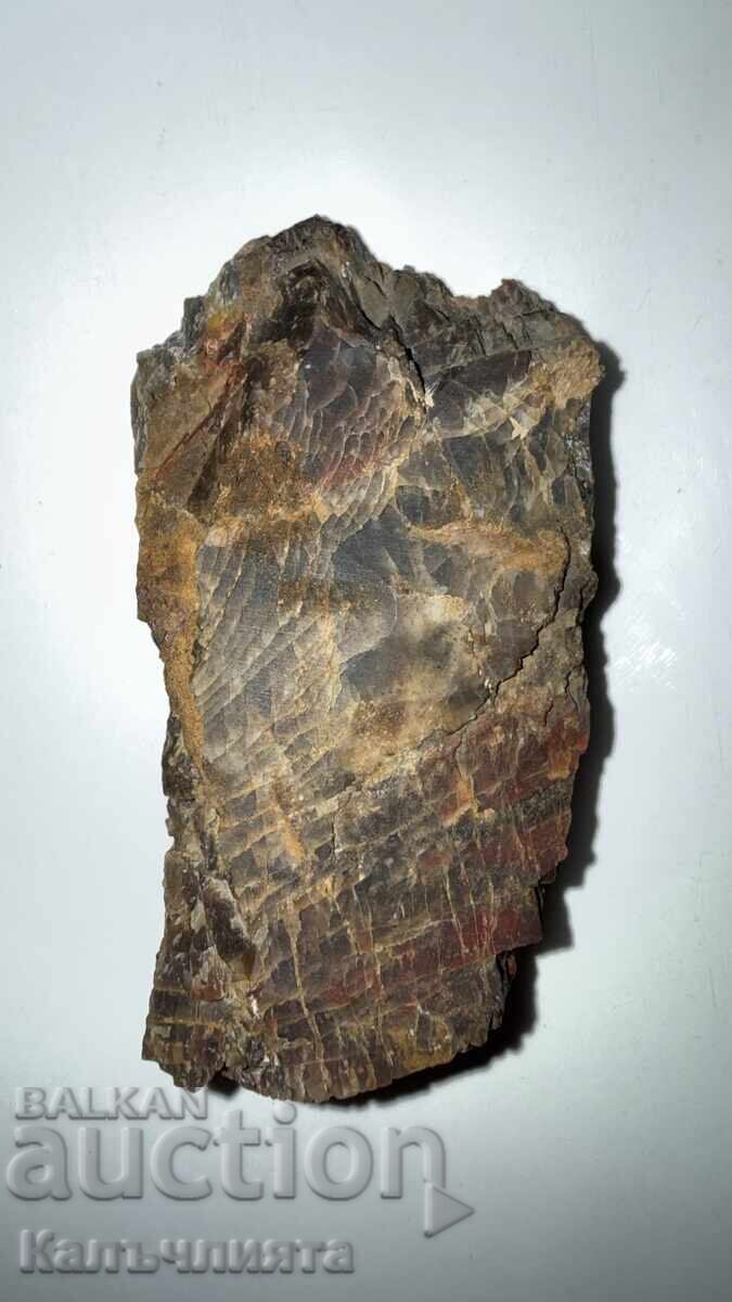 Телуридно злато в биотитова матрица / II с цена € 50.54 | 98.85 лв. Телуридно злато в биотитова матрица / II с цена € 50.54 | 98.85 лв.