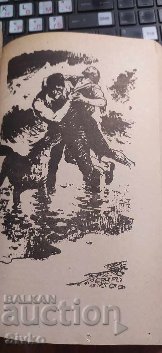 Доставка на Наследникът от Калкута, Роберт Щирмарк, илюстрации