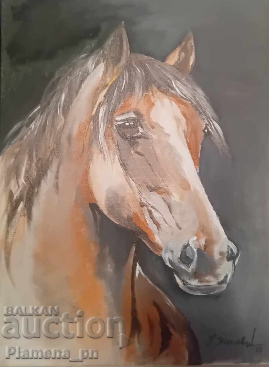 Μια εικόνα Μια εικόνα