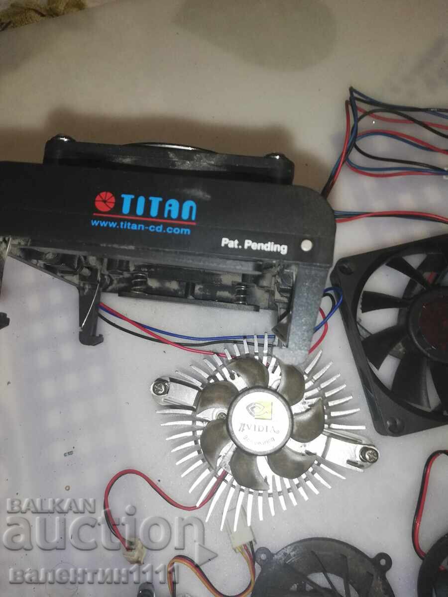 Auction Coolers Auction Coolers