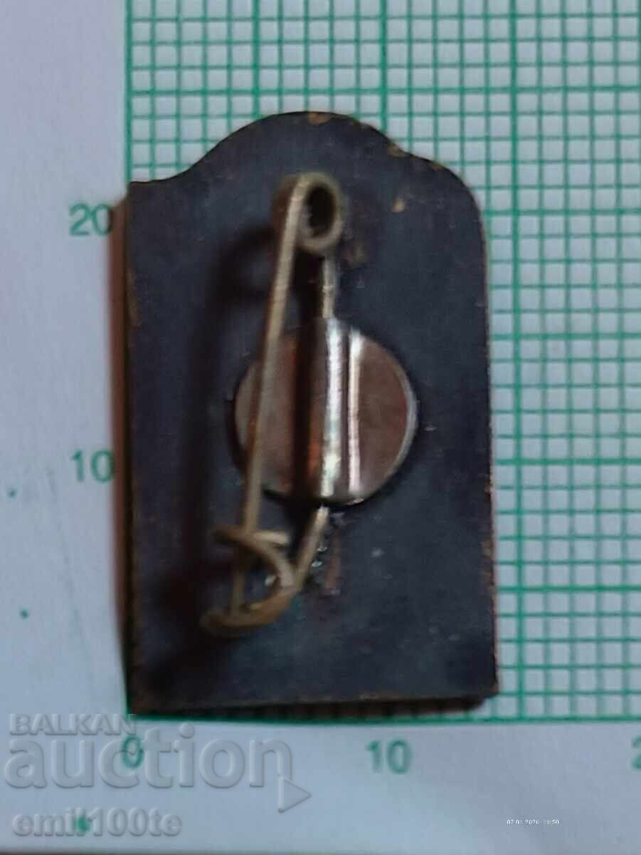 Livrarea Emblemă - 50 de ani VEF VEF Radio 1919 1969 Livrarea Emblemă - 50 de ani VEF VEF Radio 1919 1969