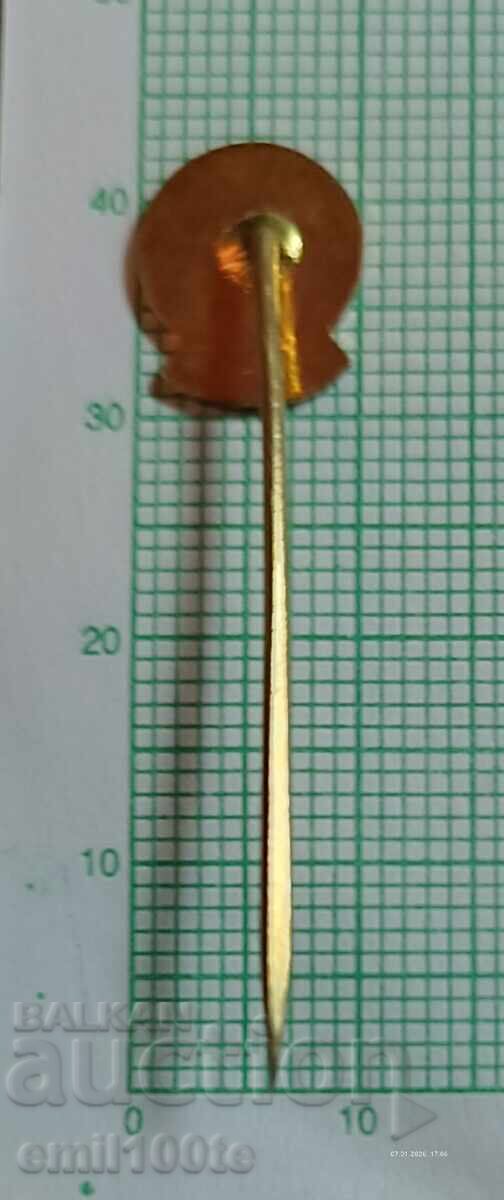 Badge - Car Skoda SKODA - 5 Badge - Car Skoda SKODA - 5