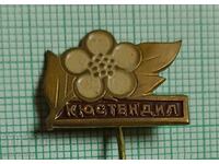 Значка- Кюстендил