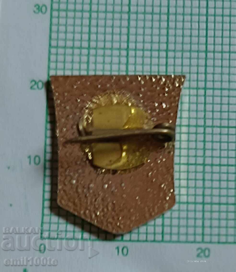 Znachka- Kazanlŭk gerb (in Cyrillic)
**Ecuson - Stema Kazanlak** - 6 Znachka- Kazanlŭk gerb (in Cyrillic)
**Ecuson - Stema Kazanlak** - 6