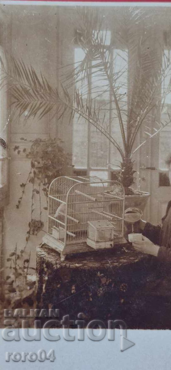 Доставка на СТАРА БЪЛГАРСКА ПОЩЕНСКА КАРТИЧКА Доставка на СТАРА БЪЛГАРСКА ПОЩЕНСКА КАРТИЧКА