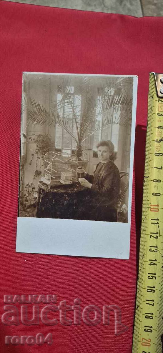 СТАРА БЪЛГАРСКА ПОЩЕНСКА КАРТИЧКА - 5 СТАРА БЪЛГАРСКА ПОЩЕНСКА КАРТИЧКА - 5