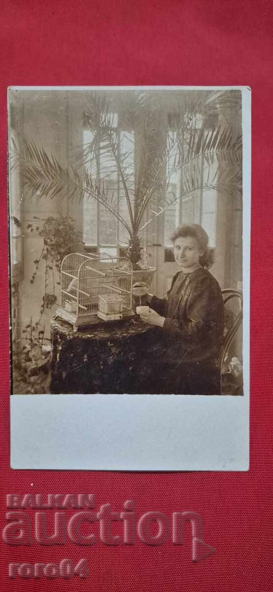 СТАРА БЪЛГАРСКА ПОЩЕНСКА КАРТИЧКА СТАРА БЪЛГАРСКА ПОЩЕНСКА КАРТИЧКА