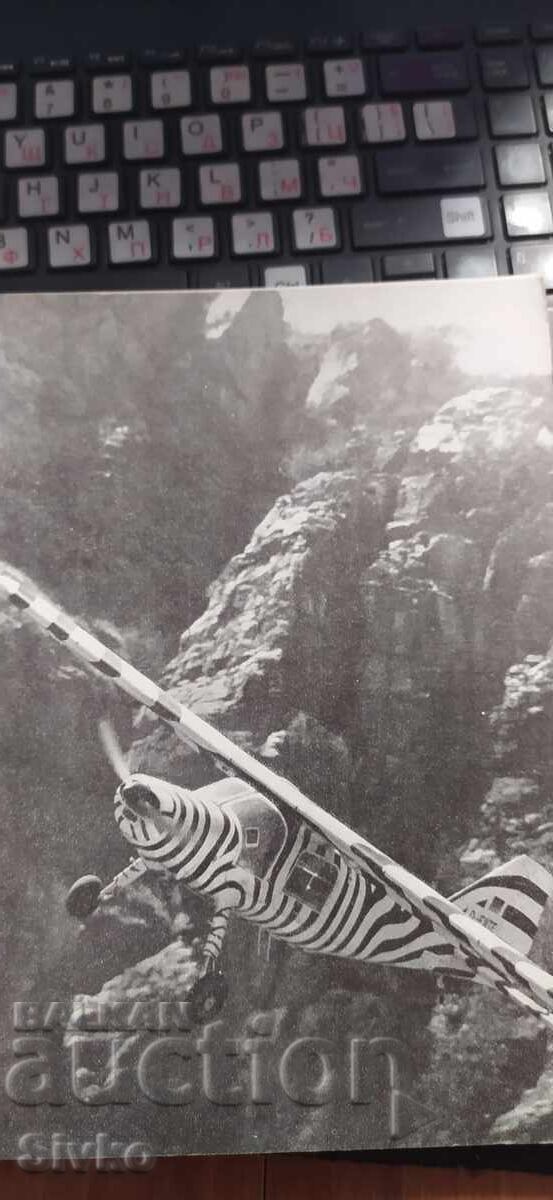 Серенгети не трябва да загине, много снимки - 6 Серенгети не трябва да загине, много снимки - 6