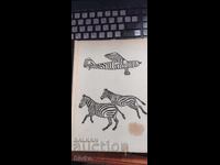 Η Σερενγκέτι δεν πρέπει να χαθεί, πολλές φωτογραφίες