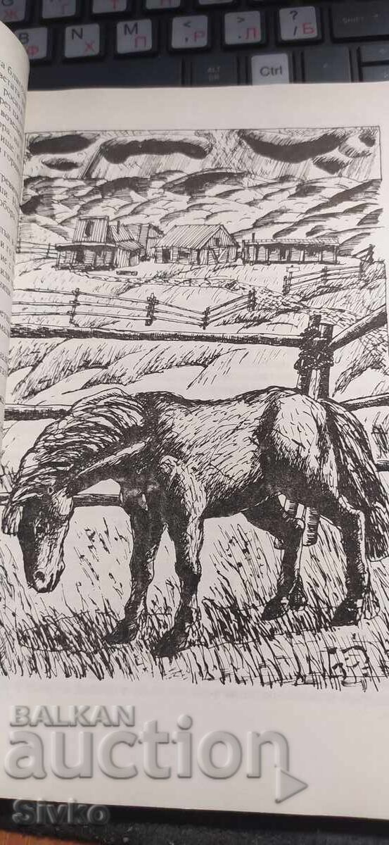 Червеното пони, Джон Стайнбек, много илюстрации с цена € 0.01 | 0.02 лв.