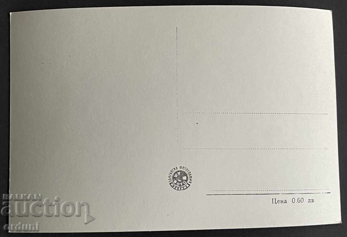 Auction  5350 Bulgaria katichka Lom ship Georgi Dimitrov Danube River