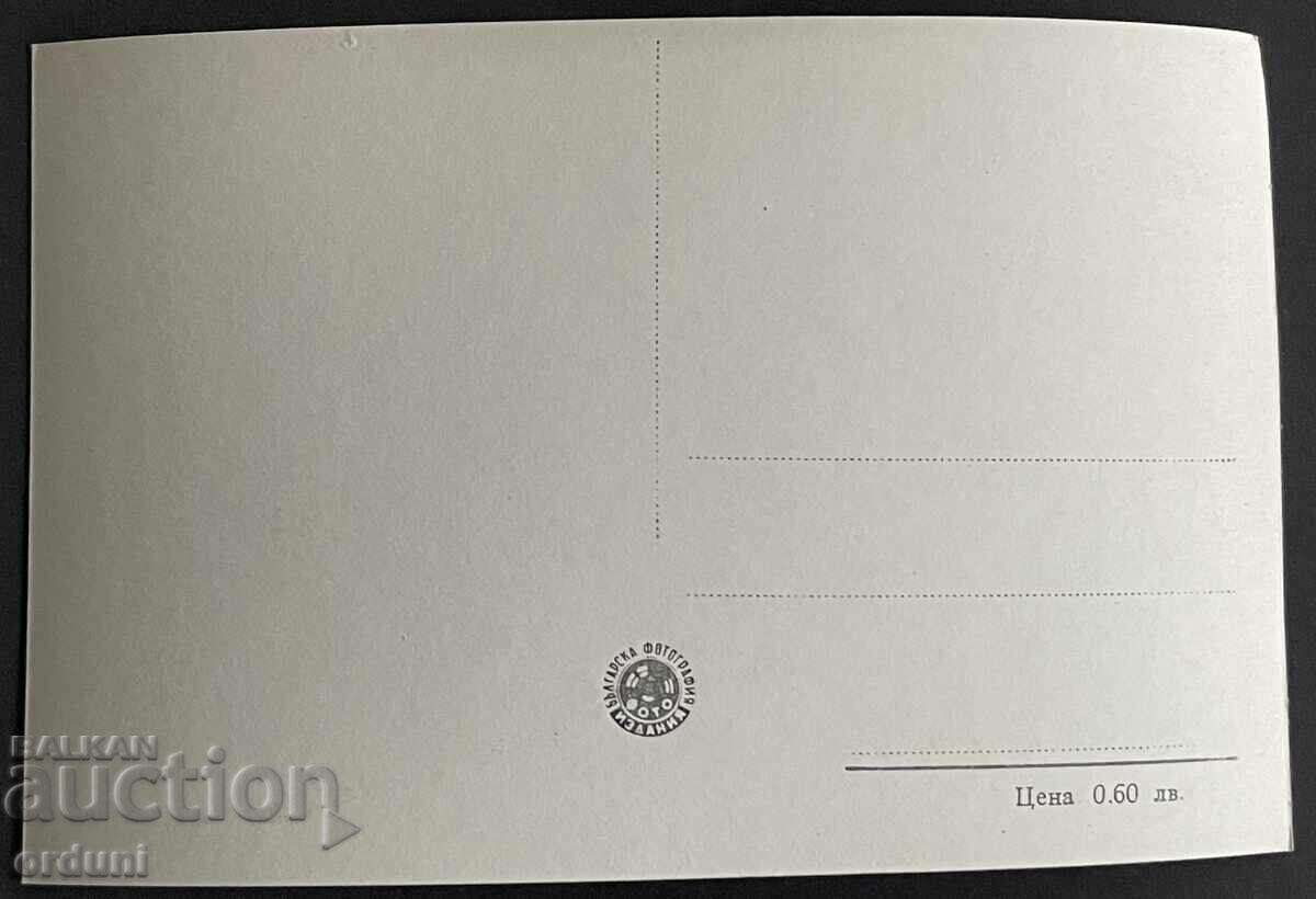 Аукцион 5351 България катичка Лом крайдунавска алея 50-те г.