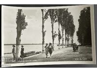 5351 Bŭlgariya katichka Lom kraĭdunavska aleea 50-te g