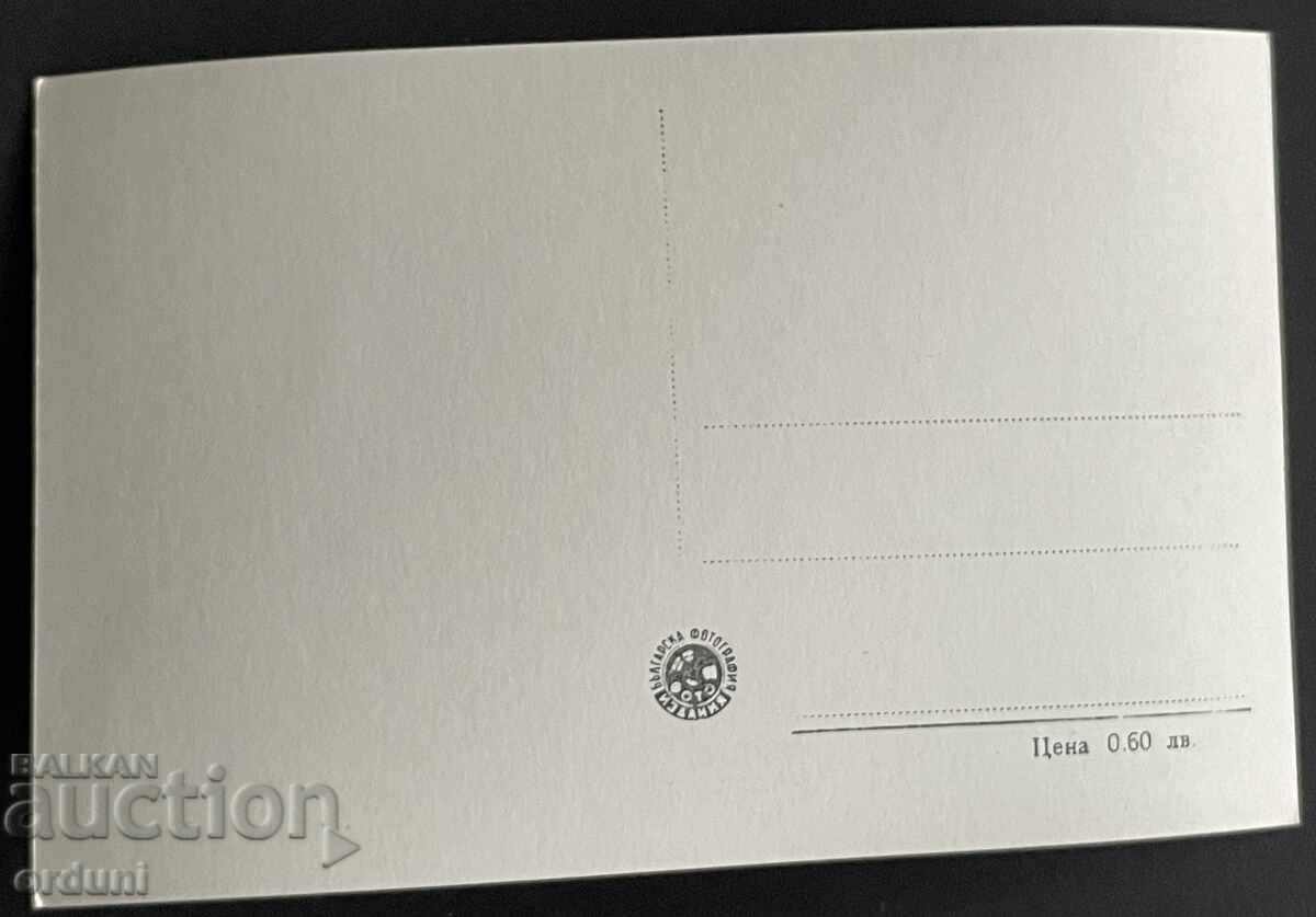 Auction  5352 Bulgaria Katichen Lom view from the port 50s