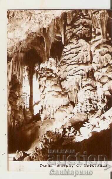 Carte poștală Bulgaria s. Brestnița, regiunea Loveci, Peștera Saevata 4*