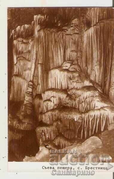 Carte poștală Bulgaria s. Brestnița, regiunea Loveci, Peștera Saeva 5*