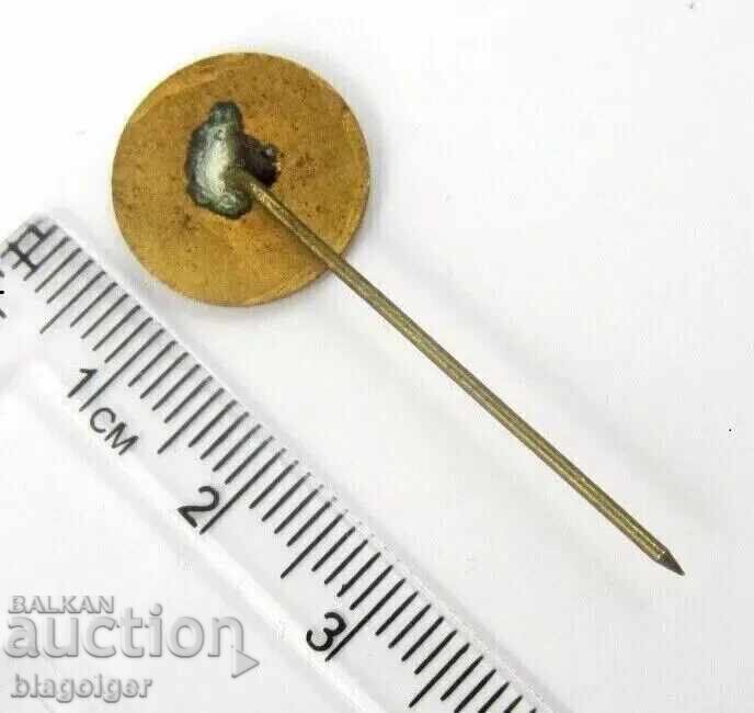 Livrarea Regatul Bulgariei - Pilot militar de planor - Semn rar - Email