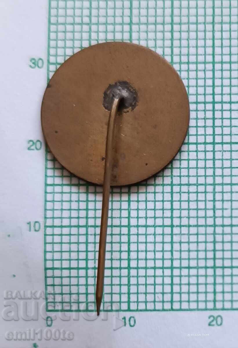 Доставка на Значка- 10 години ПП Напредък 1964 1974