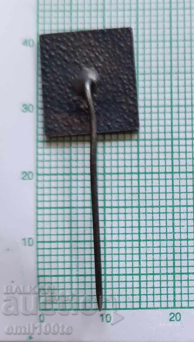 Значка-100г Първо театрално представление Силистра 1871 1971 - 5