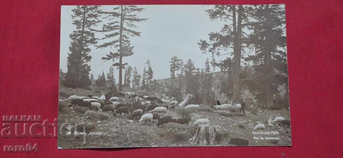 Δημοπρασία ΠΙΡΙΝ