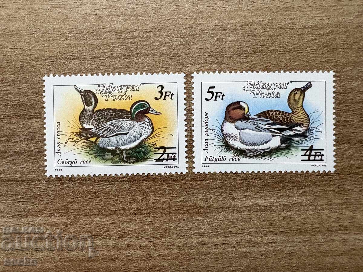 Ουγγαρία - Πάπιες - Γραμματόσημα από 1988 με νέα αξία (1989) MNH Ουγγαρία - Πάπιες - Γραμματόσημα από 1988 με νέα αξία (1989) MNH