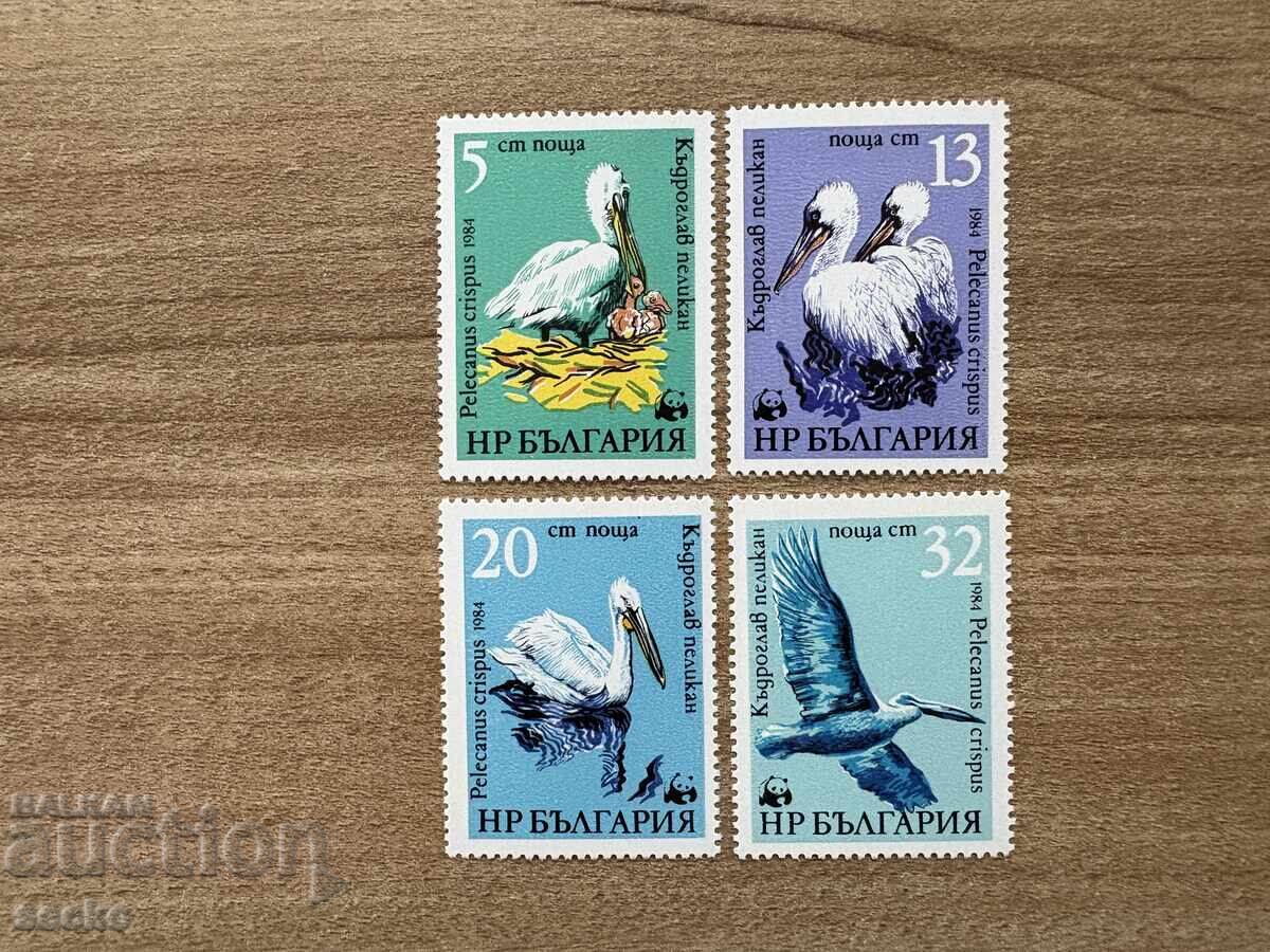 Bulgaria - Pelicani (1984) MNH Bulgaria - Pelicani (1984) MNH