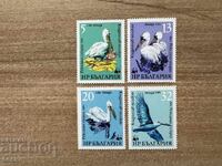 България - Пеликани (1984) MNH