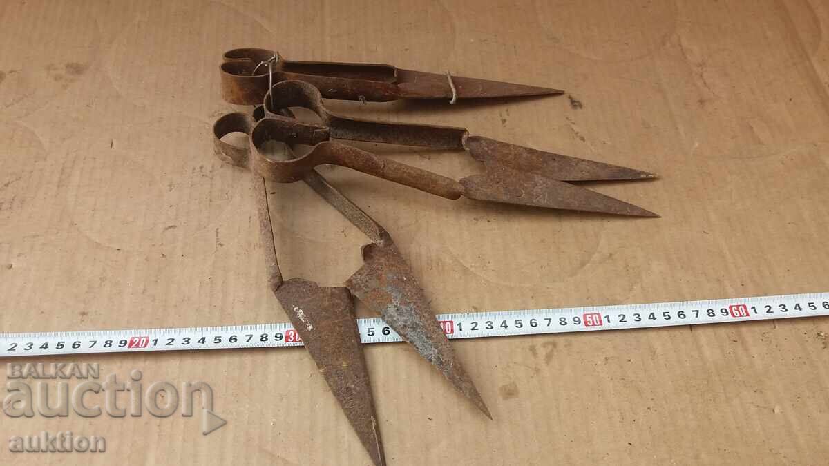 OLD SHEEP SHEARS - WROUGHT IRON - 7