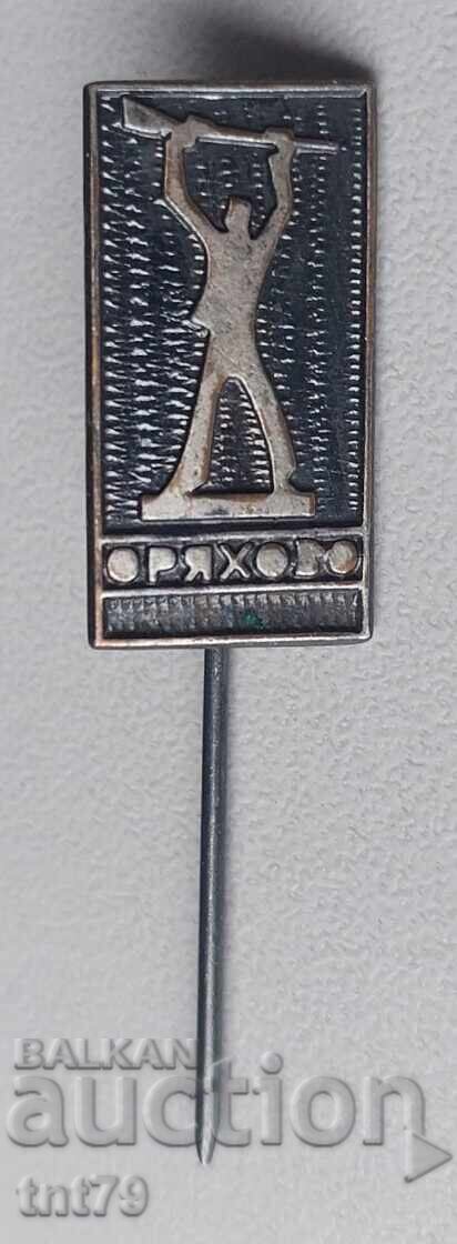 Insigna: Monumentul Partizanii orașul Oryahovo (bronz)