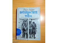 Pierre Gamara MISTERUL DIN TOULOUSE