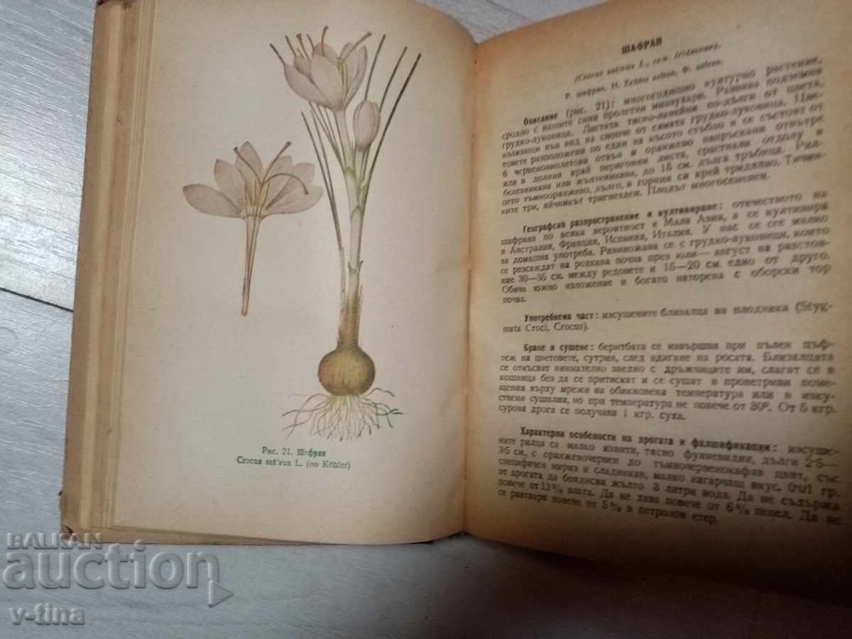 Нашите лечебни и благоуханни растения Нено Стоянов - 5