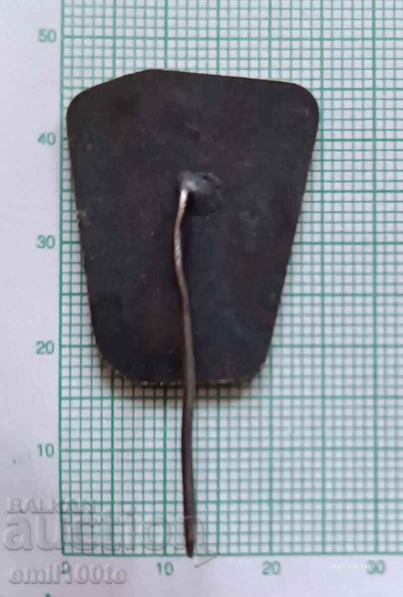 Доставка на Значка- Марица Изток 10 години Комсомолско шефство