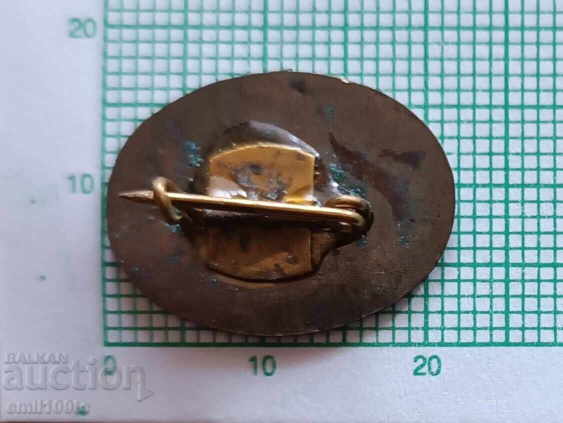 Livrarea Insigna - 25 de ani Rudmetal Livrarea Insigna - 25 de ani Rudmetal