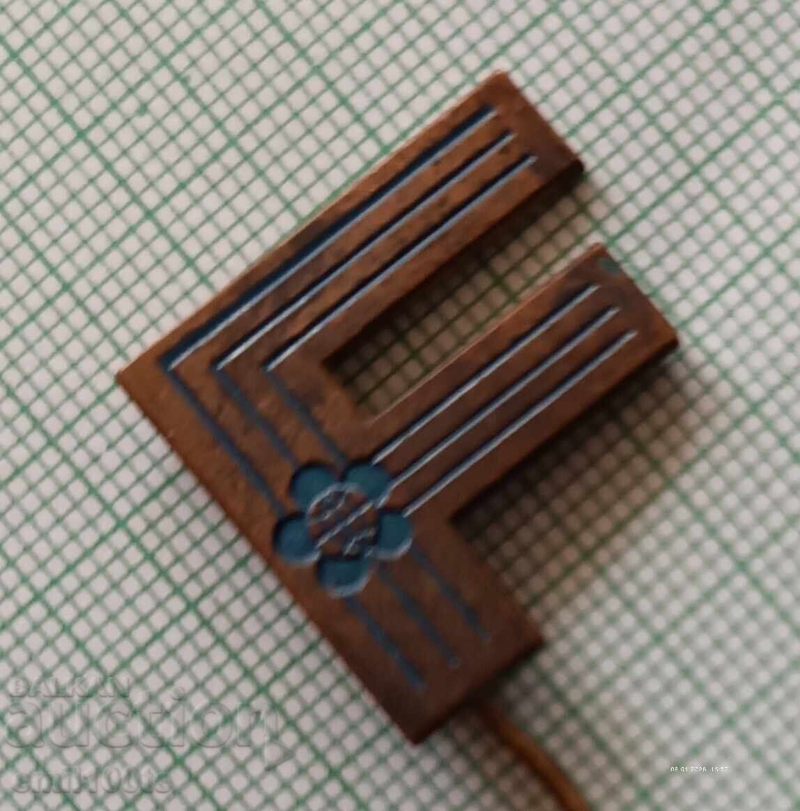 Delivery of Badge - Festival of Youth and Students