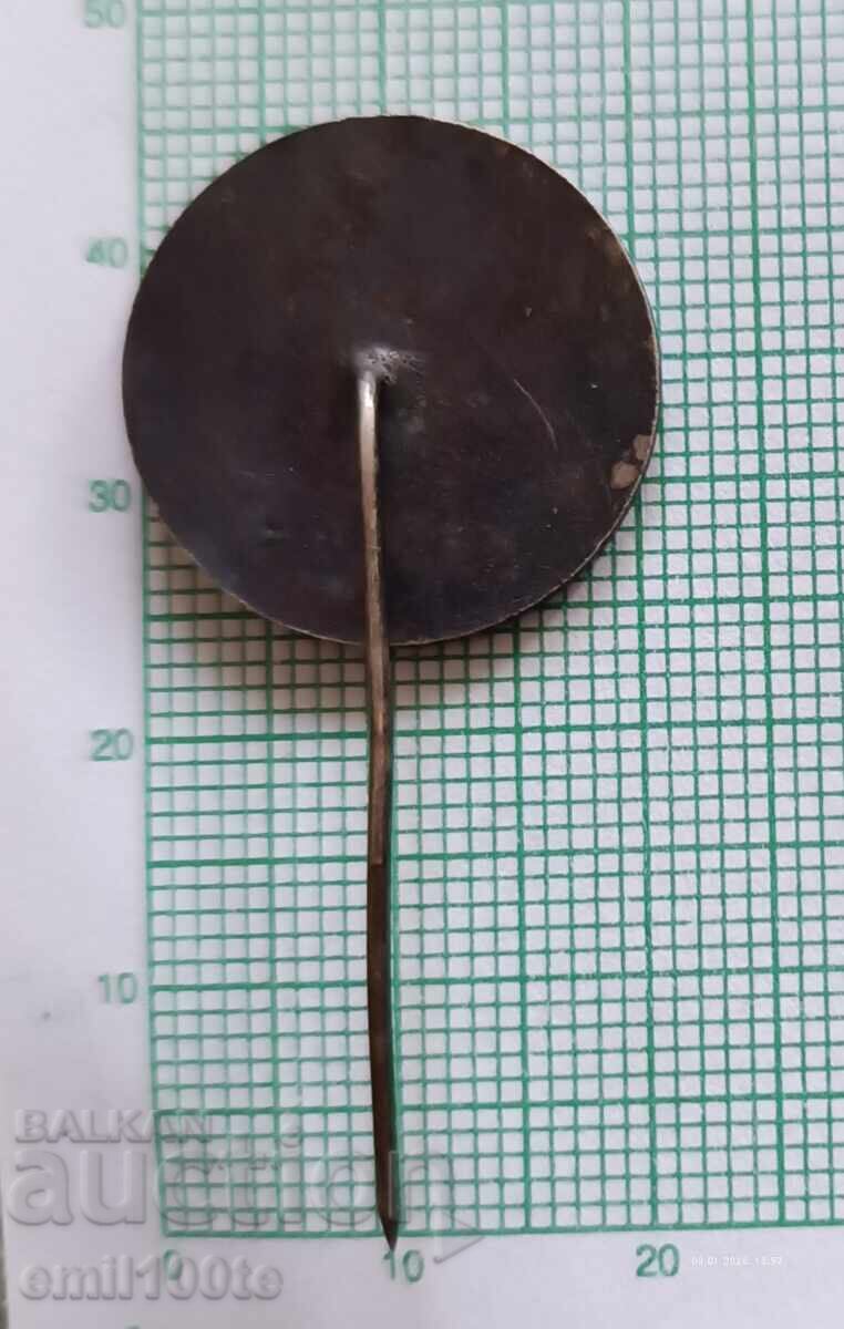 Delivery of Badge - For high sporting achievements