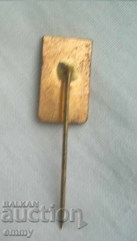 Licitație Ecuson schi - Jocurile Olimpice de iarnă, Jocurile Olimpice Lake Placid 1980 Licitație Ecuson schi - Jocurile Olimpice de iarnă, Jocurile Olimpice Lake Placid 1980