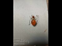 Old amber brooch "Spider"